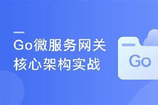 (打造简历金牌项目)Vue+Go 开发企业级微服务网关项目