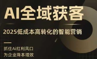 AI全域获客实训营,2025低成本高转化的智能营销,精准找客,高效营销