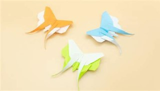 “一步步教你折：730份折纸教程精选集”