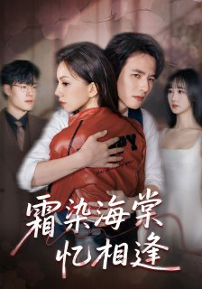 【短剧】霜染海棠忆相逢(72集全集)庄逸涵&张天宇