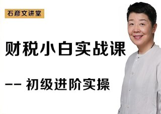 【电子书】石彦文财税小白实战课,财务会计实操从入门到精通