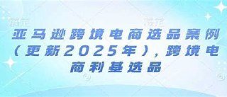 2025亚马逊跨境电商选品案例