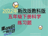 2025新课改小学全科资料,小红书付费资源合集,最新同步教材精华