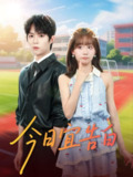 【短剧】今日宜告白(80集全集)曹渊&胡嘉倪