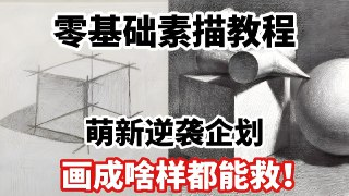 素描零基础直达四级课程,非常适合小白