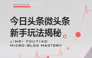 今日头条微头条新手玩法揭秘:每天高收益实操教程,轻松变现不踩坑