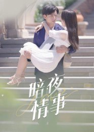 【短剧】暗夜情事(100集全集)李豪&朱梦怡