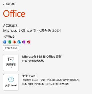 Microsoft office 2024全家桶(word+excel+ppt+Outlook+OneNote+access+project+visio)