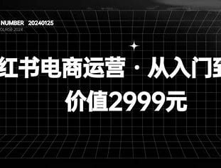 价值2999元小红书电商运营从入门到精髓