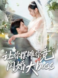 【短剧】让你摆摊你竟闪婚大boss(83集全集)吴杰&张龄月